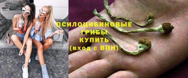 ПСИЛОЦИБИНОВЫЕ ГРИБЫ Абинск